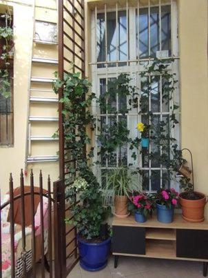 Miodowa Kazimierz Apartment Krakau Exterior foto