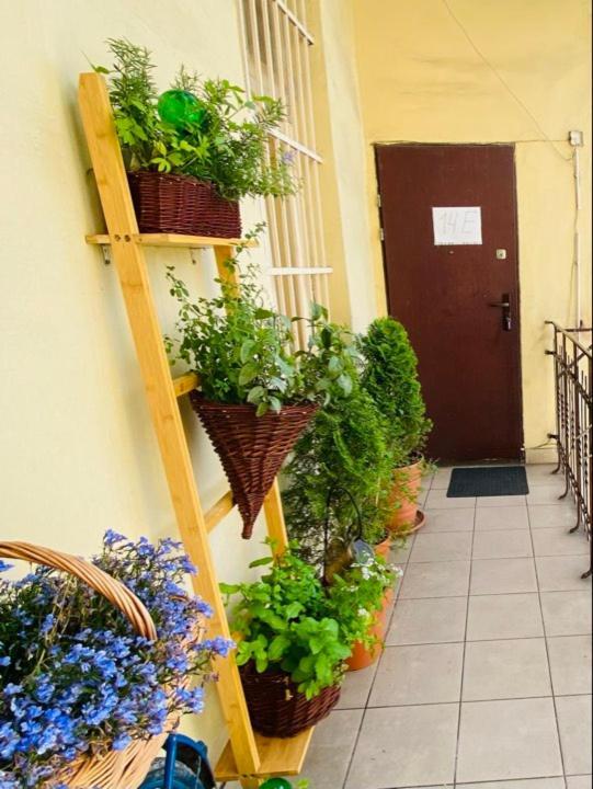Miodowa Kazimierz Apartment Krakau Exterior foto
